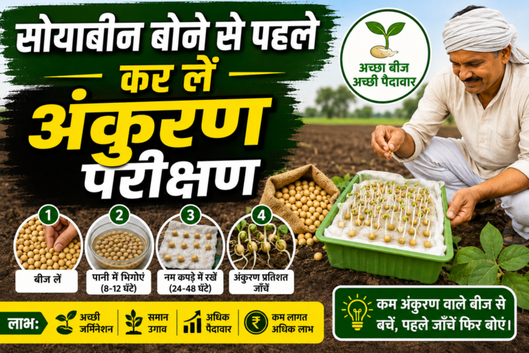 सोयाबीन बोने से पहले अंकुरण परीक्षण Germination Test करना बहुत जरूरी