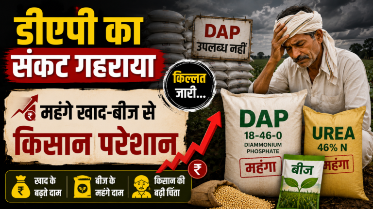 डीएपी का संकट गहराया, महंगे खाद-बीज से किसान परेशान