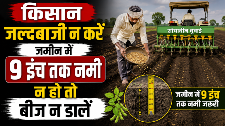 किसान जल्दबाजी न करें, जमीन में 9 इंच तक नमी न हो तो बीज न डालें