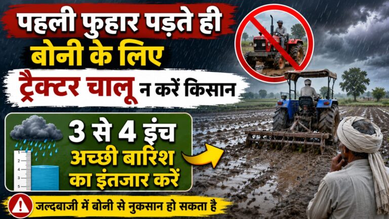 पहली फुहार पड़ते ही बोनी के लिए ट्रैक्टर चालू न करें किसान, 3 से 4 इंच अच्छी बारिश का इंतजार