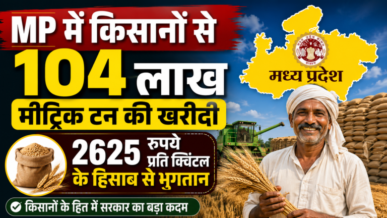 MP में किसानों से 104 लाख मीट्रिक टन की खरीदी, 2625 रुपये प्रति क्विंटल के हिसाब से भुगतान