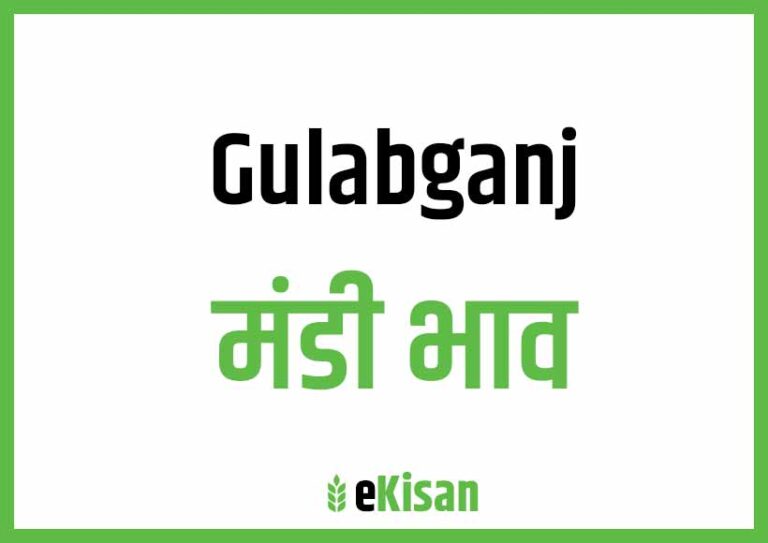 Gulabganj Mandi Bhav गुलाबगंज मंडी भाव