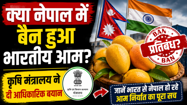 क्या नेपाल में बैन हुआ भारतीय आम? कृषि मंत्रालय ने दी आधिकारिक बयान