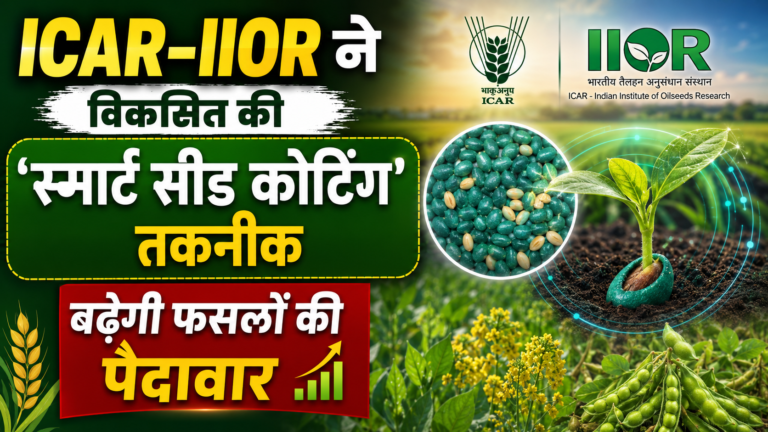 ICAR-IIOR ने विकसित की ‘स्मार्ट सीड कोटिंग’ तकनीक, बढ़ेगी फसलों की पैदावार