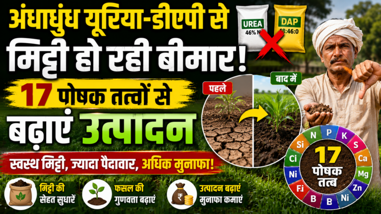 अंधाधुंध यूरिया-डीएपी से मिट्टी हो रही बीमार, 17 पोषक तत्वों से बढ़ाएं उत्पादन