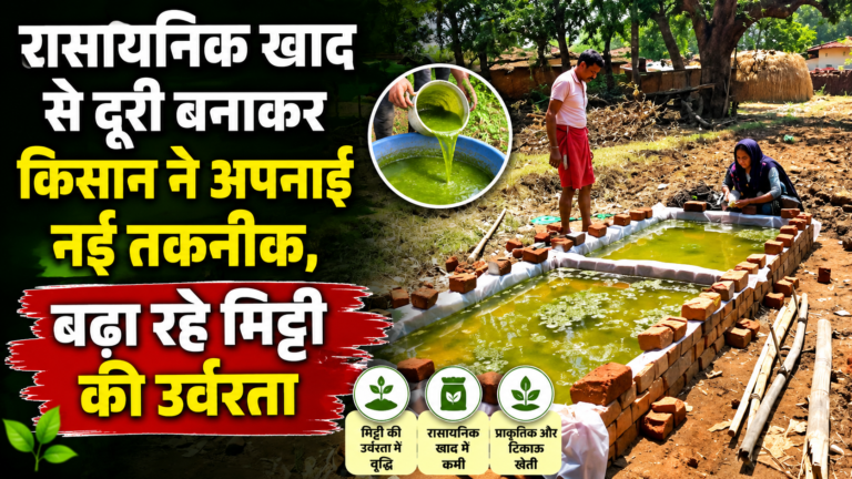 रासायनिक खाद से दूरी बनाकर किसान ने अपनाई नई तकनीक, बढ़ा रहे मिट्टी की उर्वरता