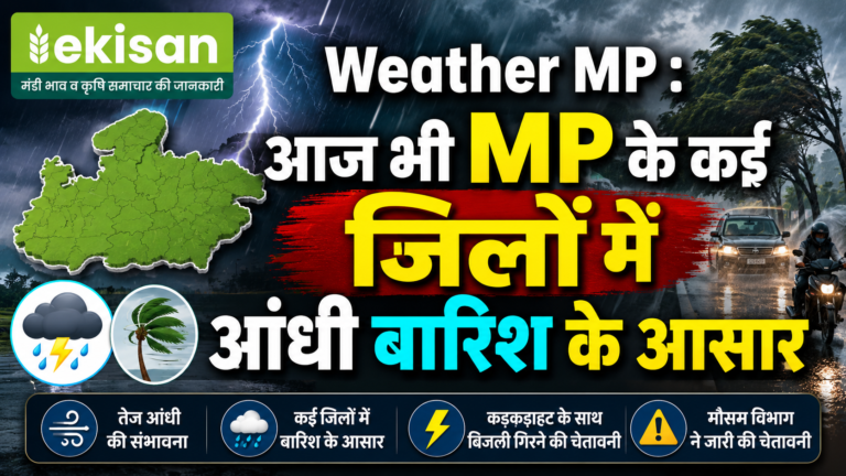 Weather MP : आज भी MP के कई जिलों में आंधी बारिश के आसार