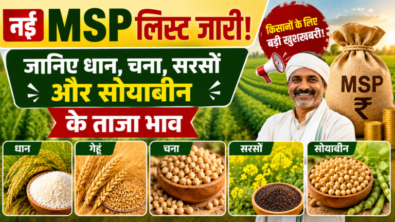 नई MSP लिस्ट जारी: जानिए धान, चना, सरसों और सोयाबीन के ताजा भाव