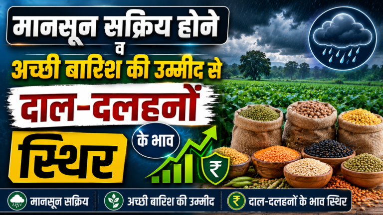 मानसून सक्रिय होने व अच्छी बारिश की उम्मीद से दाल-दलहनों के भाव स्थिर