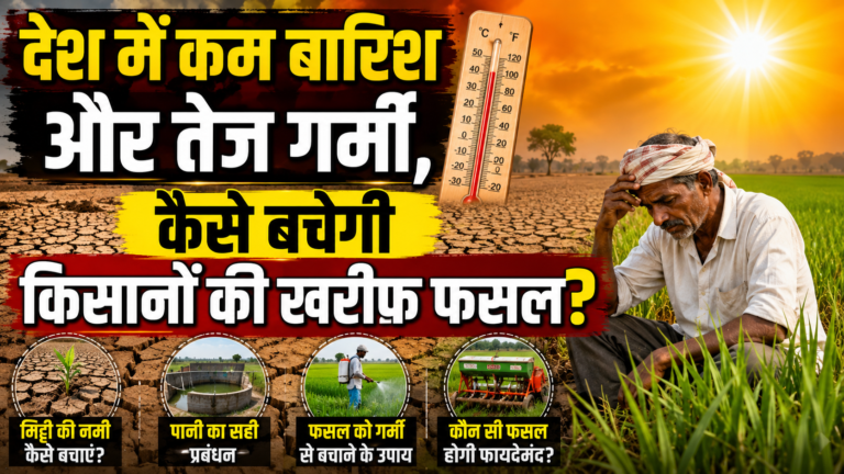 देश में कम बारिश और तेज गर्मी,  कैसे बचेगी किसानों की खरीफ फसल?