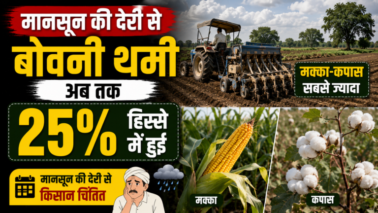 मानसून की देरी से बोवनी थमी, अब तक 25% हिस्से में हुई, इसमें मक्का-कपास सबसे ज्यादा