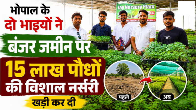 भोपाल के दो भाइयों ने बंजर जमीन पर 15 लाख पौधों की विशाल नर्सरी खड़ी कर दी