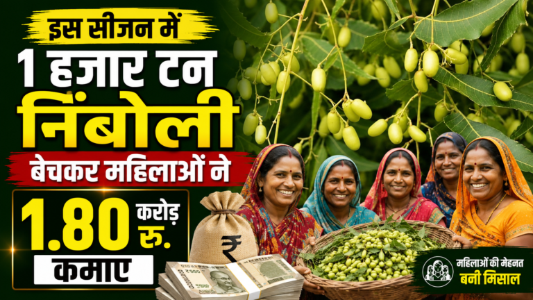 इस सीजन में 1 हजार टन निंबोली बेचकर महिलाओं ने 1.80 करोड़ रु. कमाए