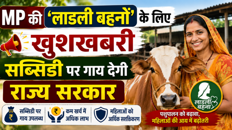 MP की ‘लाडली बहनों’ के लिए खुशखबरी, सब्सिडी पर गाय देगी राज्‍य सरकार