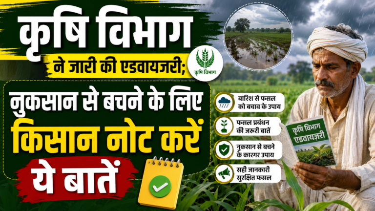 कृषि विभाग ने जारी की एडवायजरी; नुकसान से बचने के लिए किसान नोट करें ये बातें