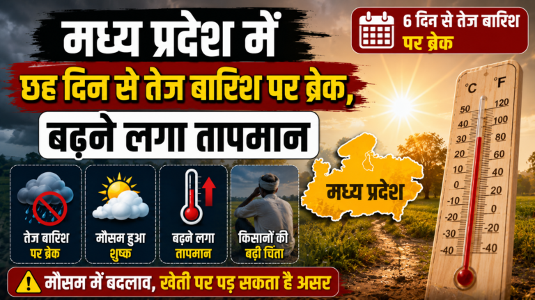 मध्य प्रदेश में छह दिन से तेज बारिश पर ब्रेक, बढ़ने लगा तापमान
