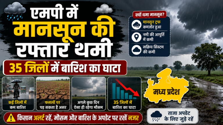 एमपी में मानसून की रफ्तार थमी, 35 जिलों में बारिश का घाटा