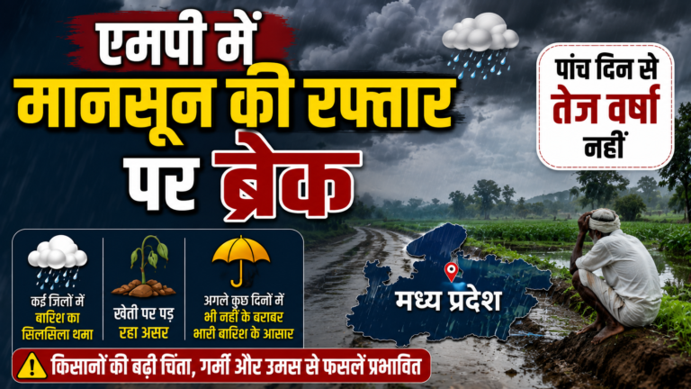 एमपी में मानसून की रफ्तार पर ब्रेक, पांच दिन से तेज वर्षा नहीं