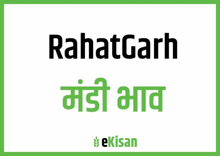 Rahatgarh Mandi Bhav राहतगढ़ मंडी भाव