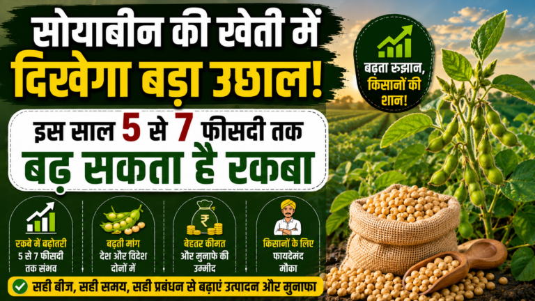 सोयाबीन की खेती में दिखेगा बड़ा उछाल! इस साल 5 से 7 फीसदी तक बढ़ सकता है रकबा